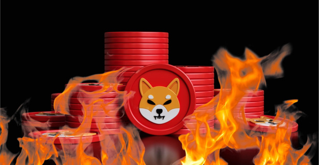 Shiba Inu's New Burn Portal Reward SHIB Burners For Destroying Their Tokens