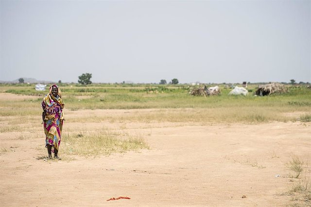 Thirteen people die and about 5,600 are displaced by fighting between rebels in Darfur, Sudan