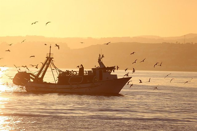 The EU will make state aid rules more flexible to expedite support for fishing from April 1