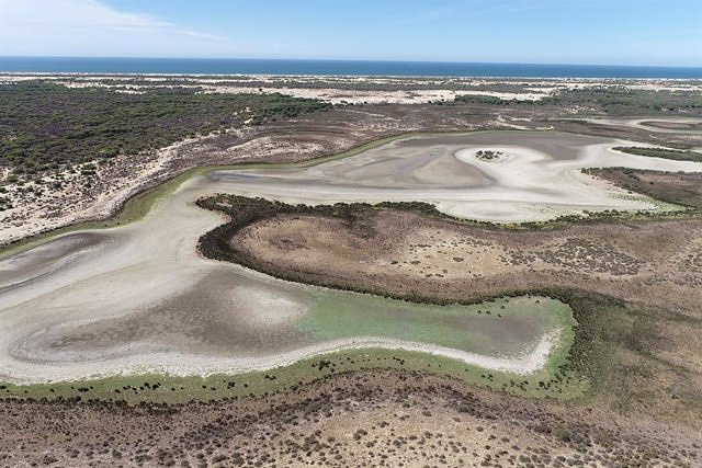 UNESCO warns that Doñana could cease to be a World Heritage Site with the Andalusian Irrigation Law