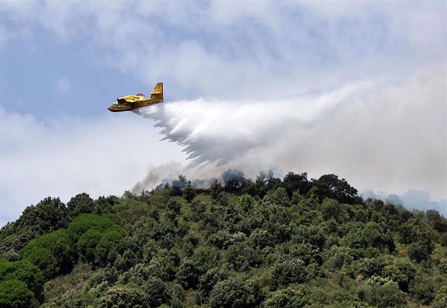 Italy deploys planes and up to 3,000 firefighters to deal with the fires in Palermo