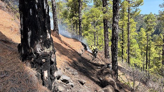 The La Palma fire is considered stabilized and affects almost 3,000 hectares