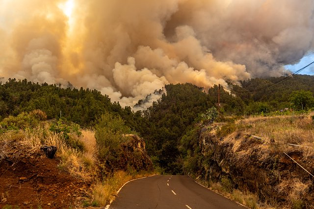 Work continues in the upper area of ​​the La Palma fire to prevent progression towards the Caldera