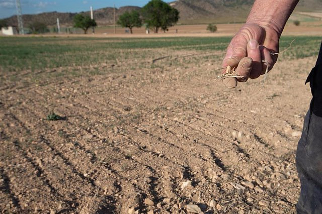 FIAB warns of the impact of the drought on the supply of food and beverages and calls for investments