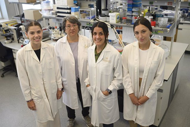 Valencian researcher Verónica Lloréns gets European help to study the intestinal microbiota