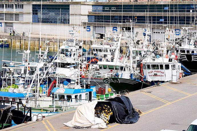 The Government publishes the initial allocation of fishing days for Mediterranean trawlers