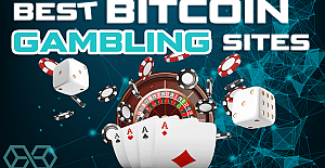 Advice on How to Pick the Best Bitcoin Gambling Site