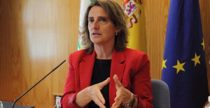 Ribera believes that the drop in electricity due to the gas cap will range between 15% and 20%