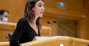 The Prosecutor's Office does not see "strange" that a "friend" of Irene Montero who worked in Podemos helped her with two newborns
