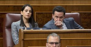 Ciudadanos is left with only one senator and will have to restructure its parliamentary group in the Senate