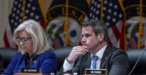 Kinzinger confirms that several Republicans asked Trump for a pardon after failing to annul the elections