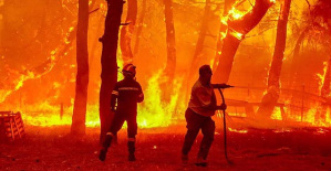 The fires on the Greek island of Lesbos and in the Dadia national park are still out of control