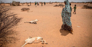 Drought in Somalia already leaves seven million people on the brink of famine