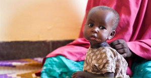 Six NGOs warn that 8 million children are at risk of dying in 15 countries due to famine