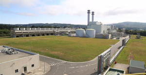 The Government has not yet received the report from Red Eléctrica on the future of the As Pontes plant