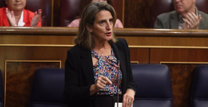 Ribera estimates that the 'Iberian exception' represents a saving of 17 euros per month on the electricity bill
