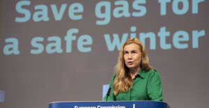 Brussels makes limiting the price of all gas purchases subject to a cut in gas consumption of more than 15%
