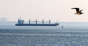 Six new grain ships leave Ukrainian ports for Turkey for inspection