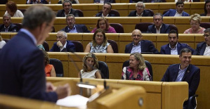 Moncloa and Genoa, satisfied with the performance of their leaders in the Senate