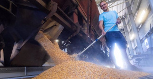 European brokers allowed to take out 61% of Ukraine's cereal exports until August