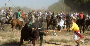The Prosecutor's Office sees no crime in Toro de la Vega and files the open investigation after the Government's complaint