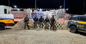 A ton of cocaine found hidden in a shipment of kitty litter in Brazil