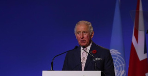 Downing Street urges King Charles III not to attend COP27
