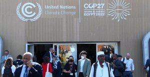 Two members of the Colombian delegation at COP27 denounced for sexual harassment