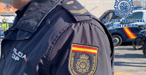 At least 23 detainees in Seville, Almería and Barcelona for the fraud of more than 6 million from a security company