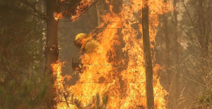 Deaths in Chile fires rise to 25 after death of forestry worker