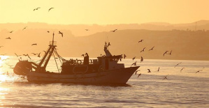 The EU will make state aid rules more flexible to expedite support for fishing from April 1