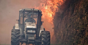 Asturias records 116 forest fires in 35 councils and the Naranco burns in Oviedo
