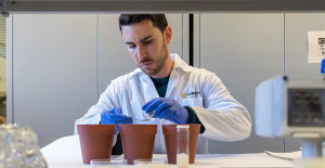 Aimplas develops hydrogels from marine algae that retain water to improve crop yields