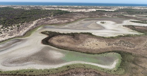 The Government denies an alleged 'ecological 155' with Doñana: "It has not been raised nor is it raised"