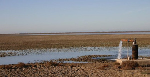 Brussels warns that it will use "all means at its disposal" if the Doñana irrigation law is approved