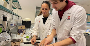 UMH Biotechnology students create date horchata and vegan 'pilota' for the Innobiotec contest