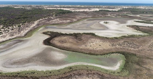 UNESCO warns that Doñana could cease to be a World Heritage Site with the Andalusian Irrigation Law