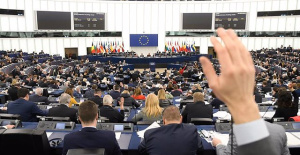 The European Parliament will not allow maximum sentences for violation of less than 8 years to avoid laws such as 'yes is yes'
