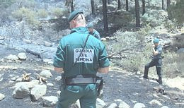 They investigate the worker of a company that does forestry work for the Cabildo due to the fire in Gran Canaria