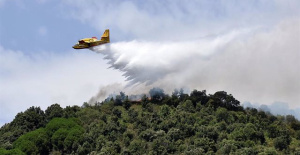 Italy deploys planes and up to 3,000 firefighters to deal with the fires in Palermo