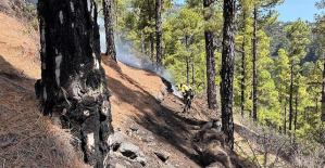 The La Palma fire is considered stabilized and affects almost 3,000 hectares