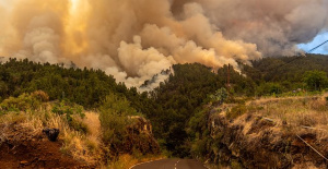 Work continues in the upper area of ​​the La Palma fire to prevent progression towards the Caldera