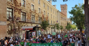 Thousands of people march in Seville and Malaga against the privatization of public education and to demand its improvement