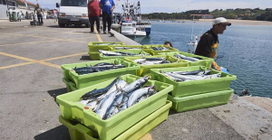 The EU agrees on the 2024 fishing distribution with the "most important of the century" hake figure for Spain