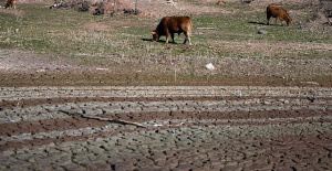 UPA-COAG calls for strengthening the Chain Law after a year plagued by drought, EHE and high production costs