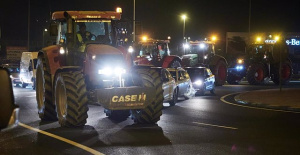 Farmers protests in Spain: What are they asking for and why are they cutting off the roads?