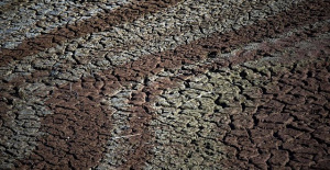 Catalonia declares an emergency due to drought in 239 municipalities, also the areas of Barcelona and Girona