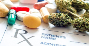 Health begins the procedures to regulate medicinal cannabis in Spain