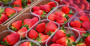 La Unió denounces a second detection of strawberries with hepatitis A from Morocco
