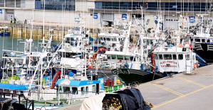 The Government publishes the initial allocation of fishing days for Mediterranean trawlers
